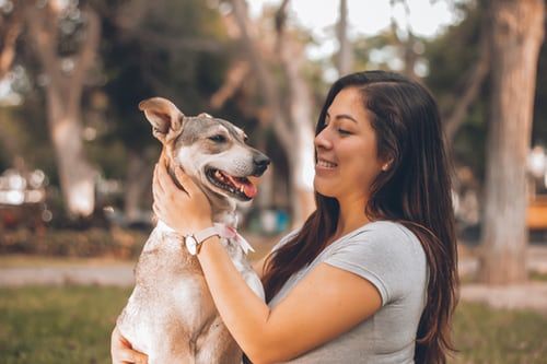 Mensch und Hund im gemeinsamen Coaching